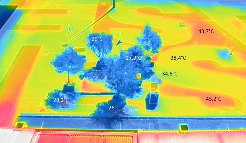 Eindrucksvoll zeigt das Thermografie-Aufnahme wie hoch das Potenzial zur Kühlung durch Erweiterung der Begrünung in Innenstädten ist <br> <br>