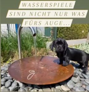 Wasserschale AQUA BOWL Turin als Hundebadewanne