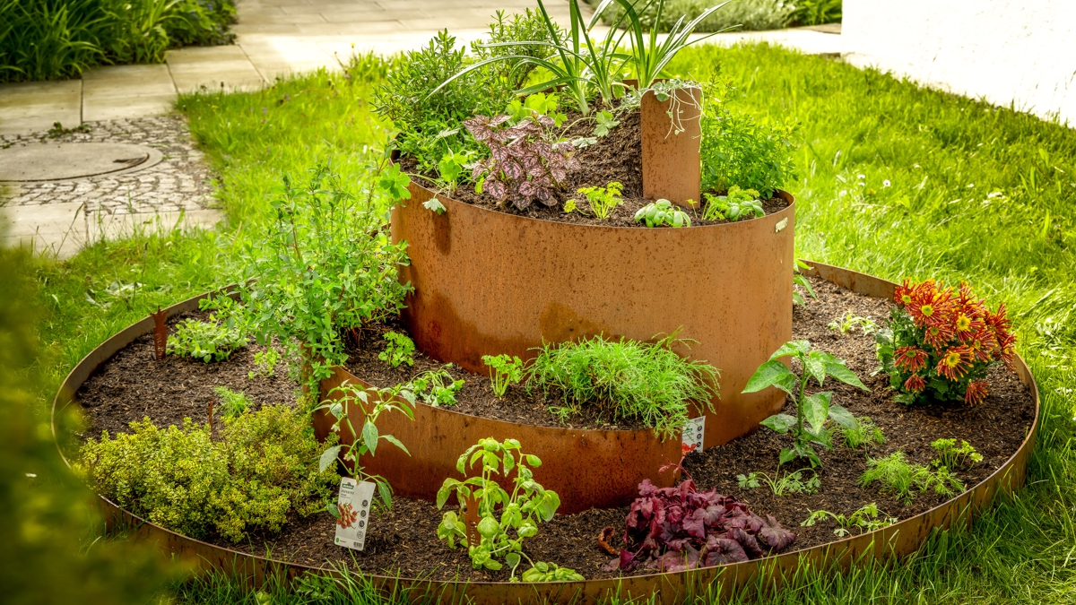 Kräuterspirale aus Cortenstahl für frische Gewürze im Garten