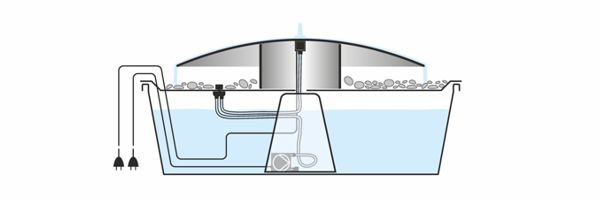 RIVA: Wasserschale auf dem Kopf, quasi in Pilzform