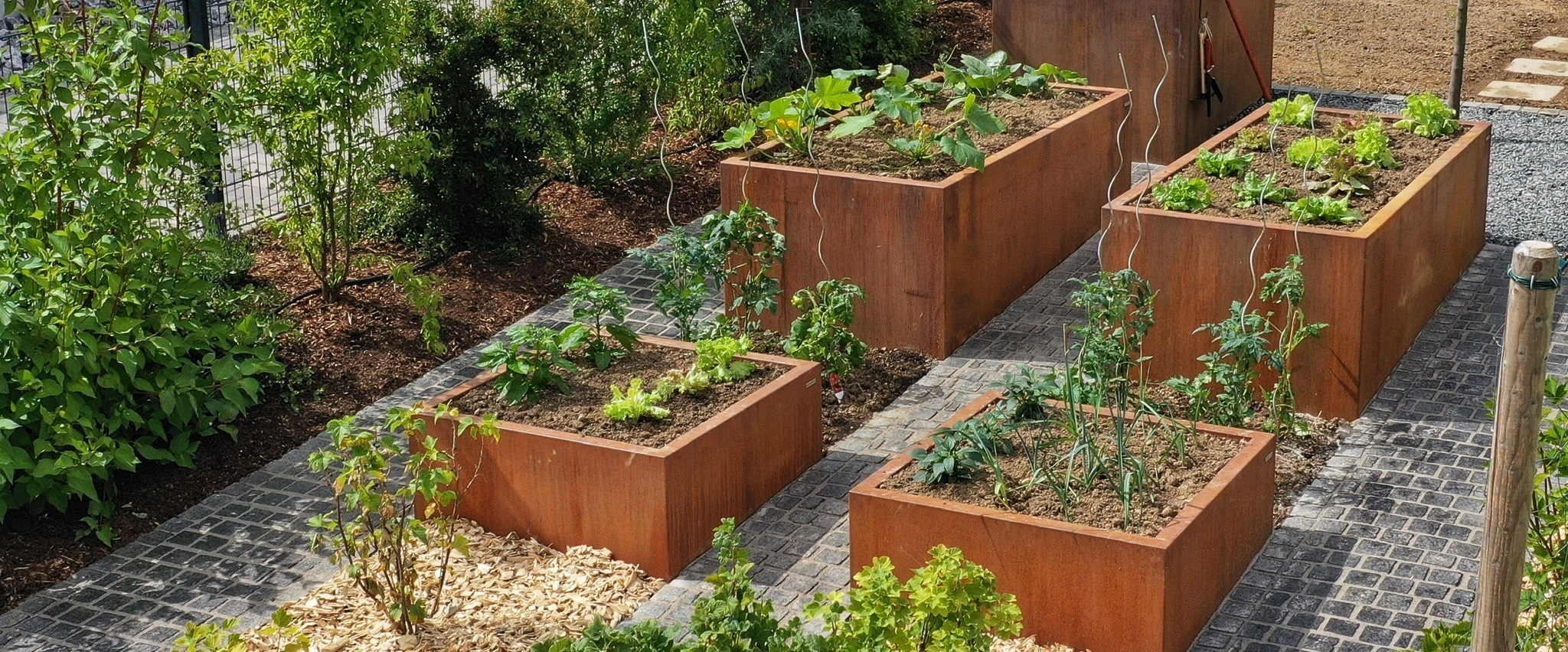 Pflanzgefäße TERRESTA aus Cortenstahl in verschiedenen Höhen