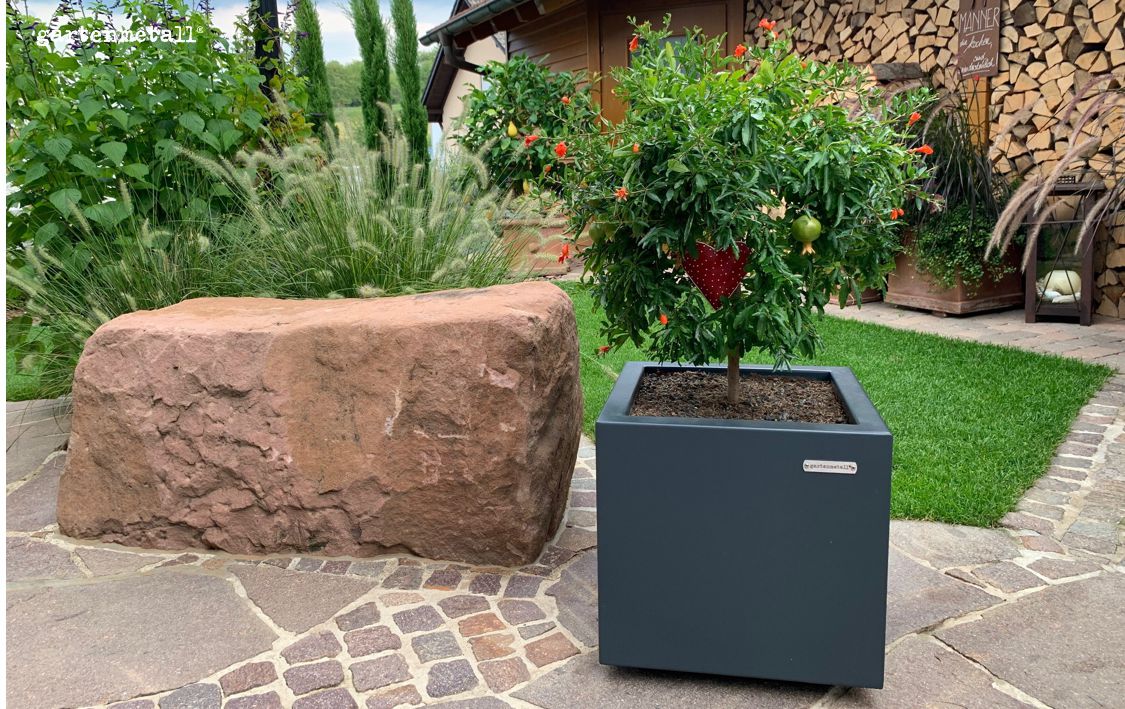 Ein Strauch in einem grauen Pflanzkübel steht auf gepflastertem Boden neben einem großen Felsen, umgeben von Gras und Holzstapeln, Schildertext: 'MÄNNER die holen, was tatsächlich bleibt!'.