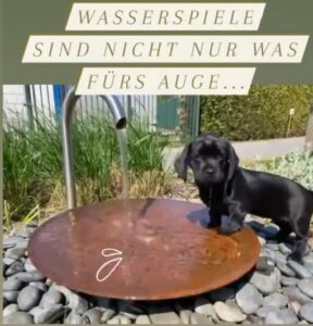 Not only something for bipeds!