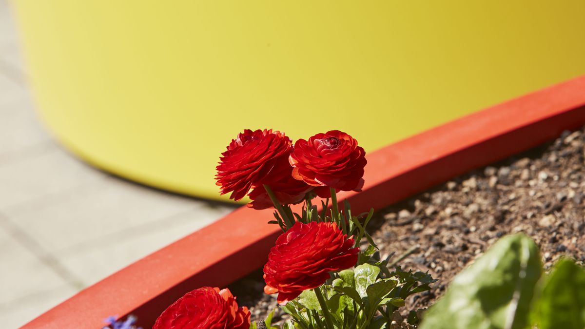 Rote Blumen blühen in einem Beet, umgeben von roter Umrandung. Im Hintergrund leuchtet ein großer, gelber Zylinder, der hellem Tageslicht ausgesetzt ist.
