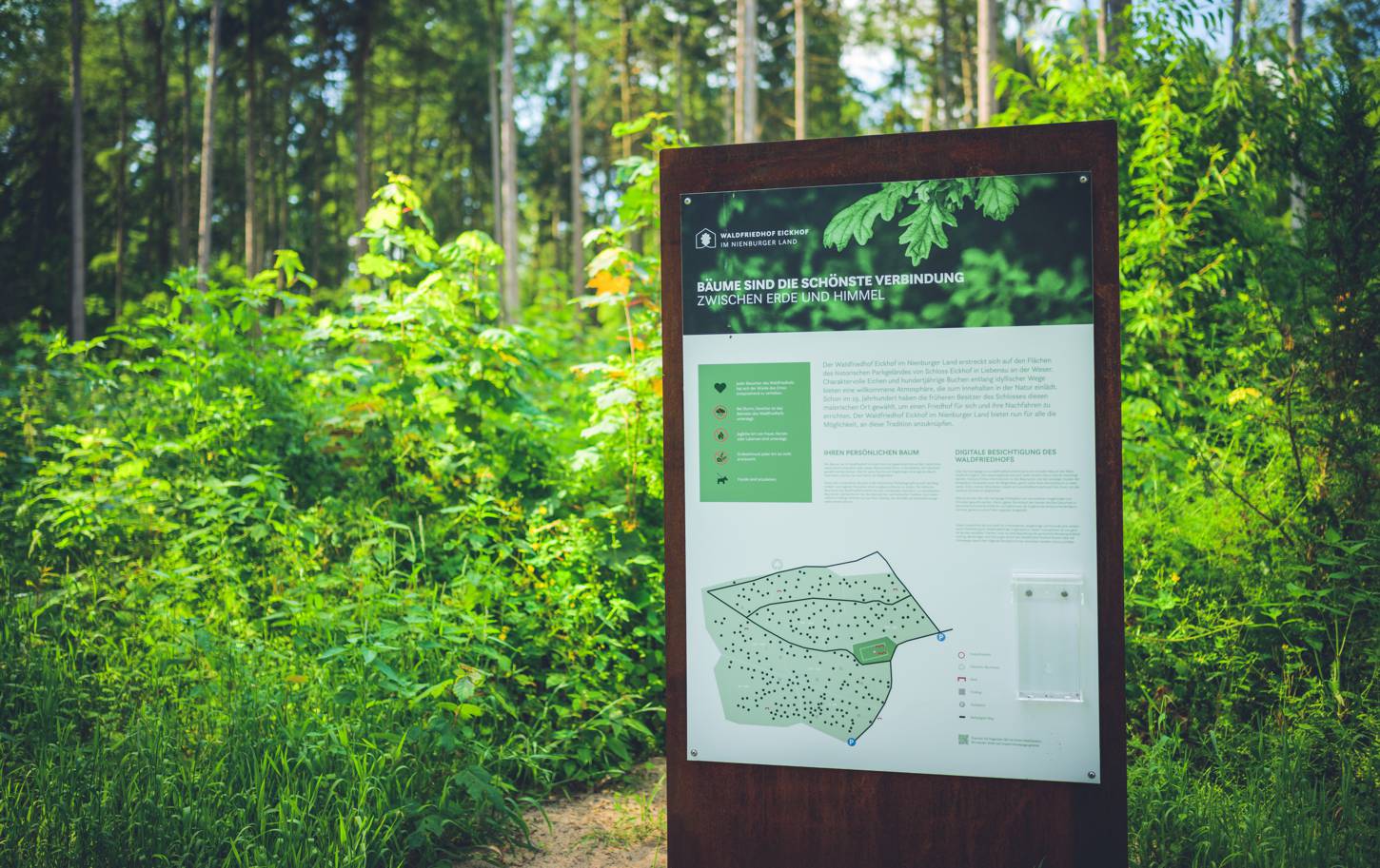 Schild informiert im Wald über Waldfriedhof Eickhof bei Meinershagen, umgeben von dichtem Grün. Text: 'Bäume sind die schönste Verbindung zwischen Erde und Himmel' plus Details und Karte.