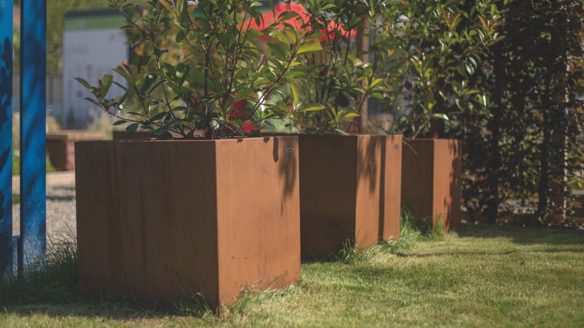 Rostfarbene quadratische Pflanzkübel mit grünen Pflanzen stehen auf einer Rasenfläche, im Hintergrund sind Teile von Gebäuden und blauem Zaun sichtbar.