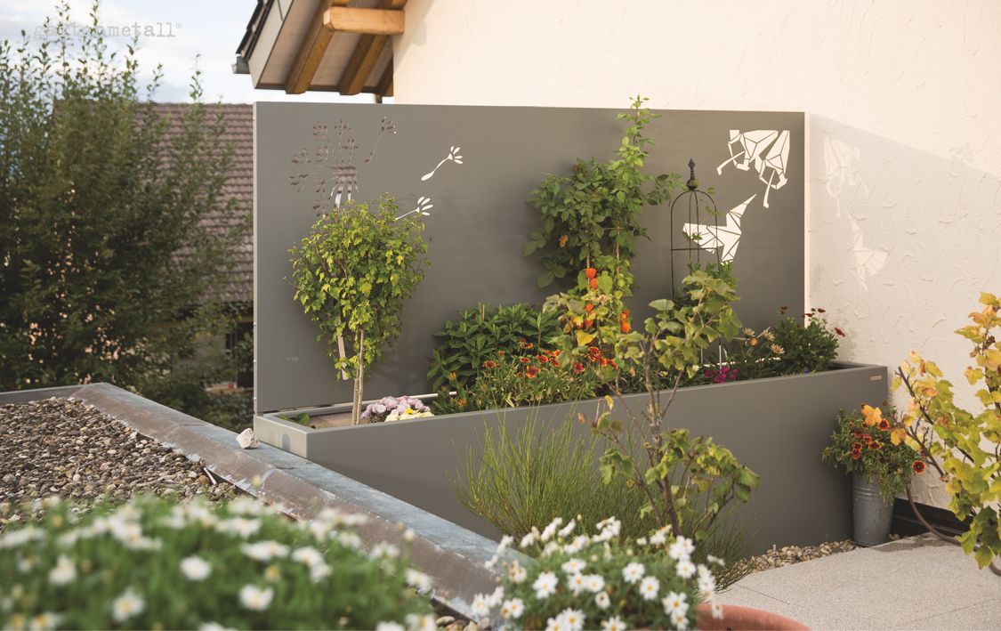 Plant container and privacy screen in one
