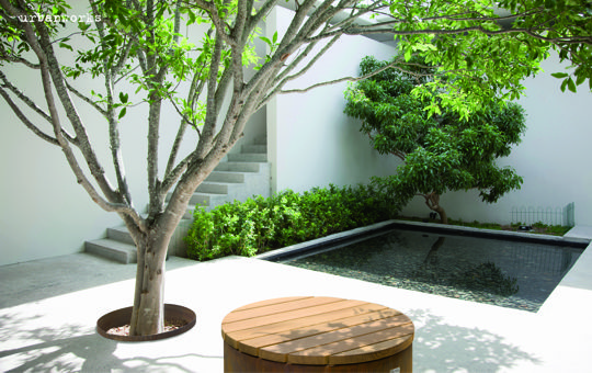 Ein Baum steht in einem minimalistischen Hof neben einem kleinen reflektierenden Pool, im Hintergrund befinden sich Treppen und Büsche. Text: „urbanomes“.