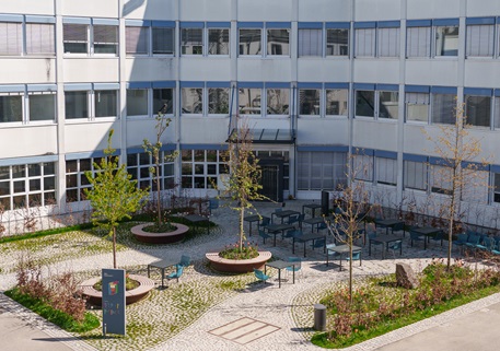 Concrete desert becomes green canteen garden